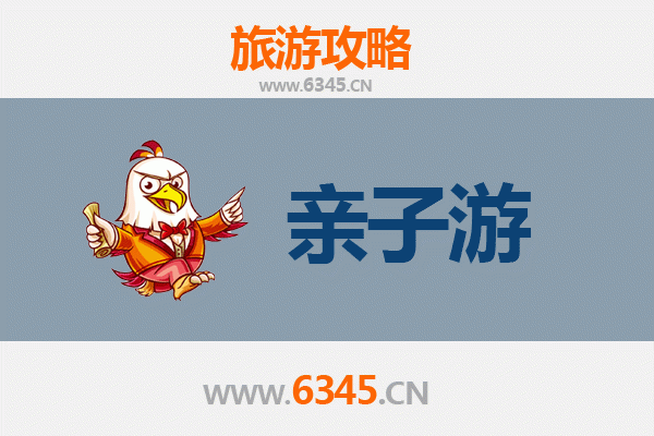 桐乡亲子游攻略：探寻乌镇水乡与田园童趣