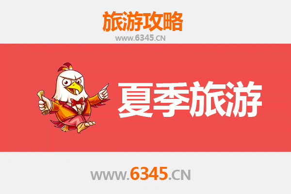 桐乡夏日漫游指南：乌镇水乡、濮院时尚与乡村慢生活